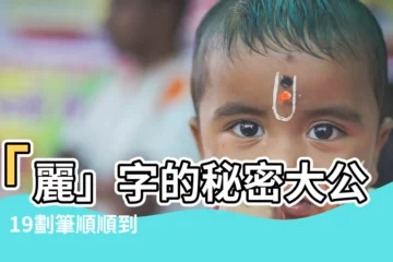 【麗筆畫】「麗」字的秘密大公開！19劃筆順順到爆，寫出最美的「麗」！