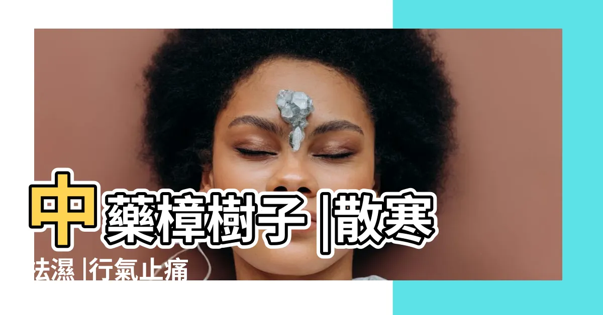 【樟樹子 作用】中藥樟樹子 |散寒祛濕 |行氣止痛 |