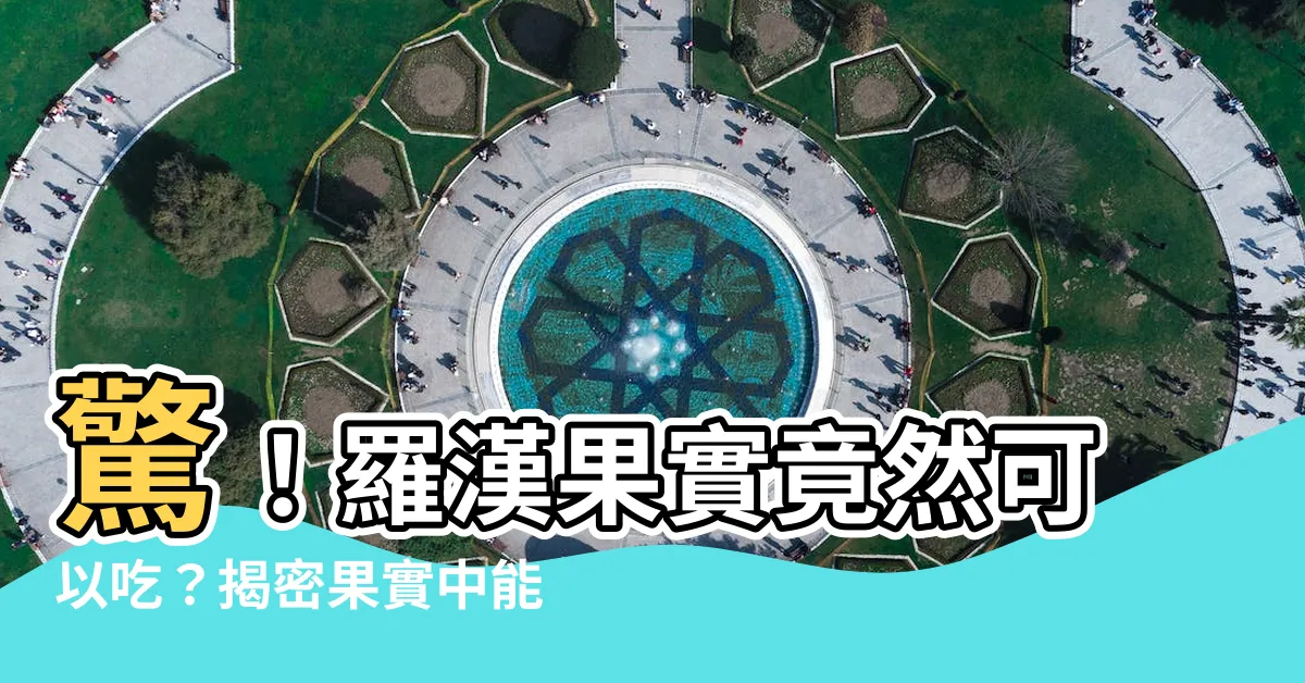 【羅漢松果實可以吃嗎】驚！羅漢果實竟然可以吃？揭密果實中能吃的「意外部位」