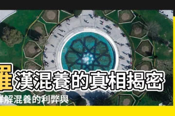 【羅漢混養】羅漢混養的真相揭密！詳解混養的利弊與禁忌