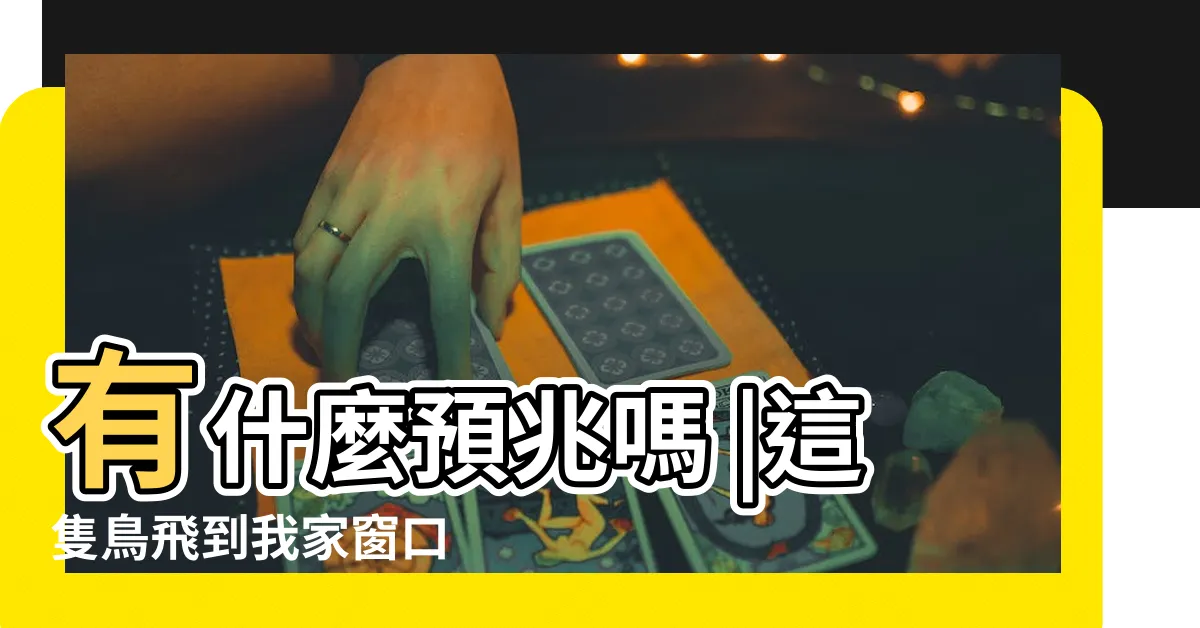 【鳥飛來窗户】有什麼預兆嗎 |這隻鳥飛到我家窗口 |這是什麼鳥 |