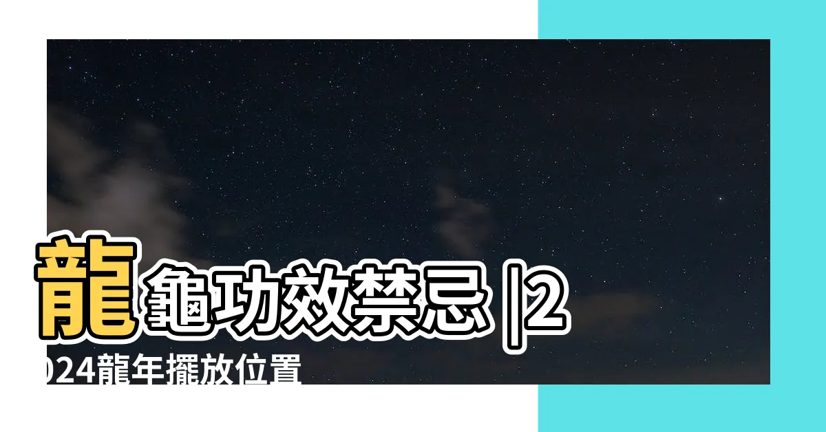 【黑曜石龍龜擺放】龍龜功效禁忌 |2024龍年擺放位置 |開光方法 |