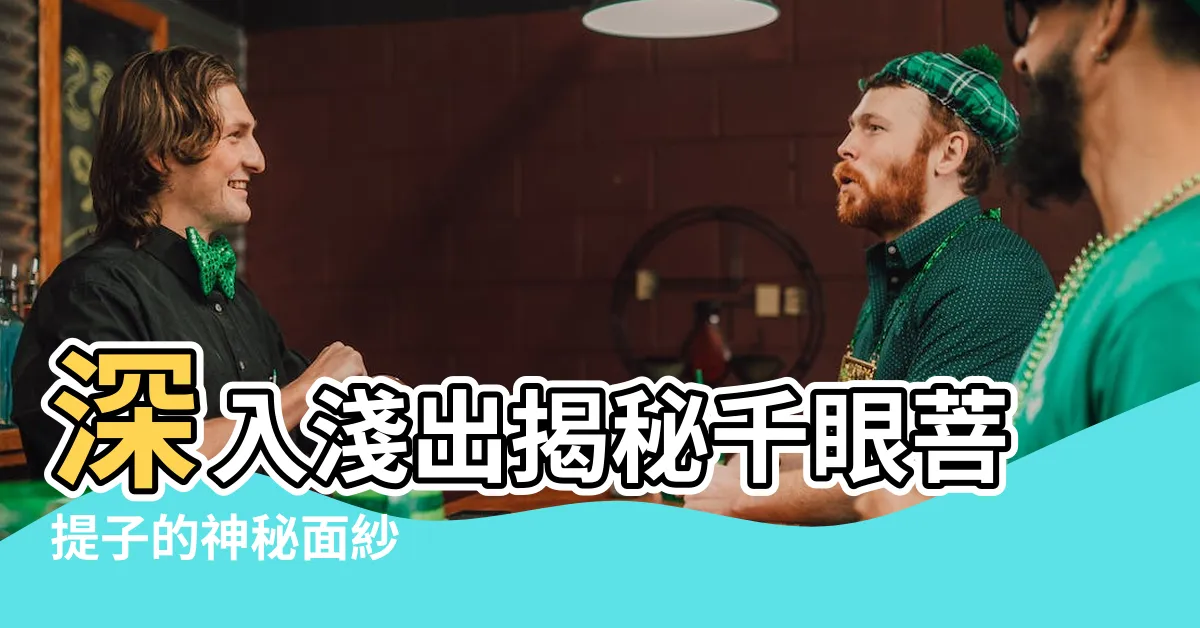 【千眼菩提子】深入淺出揭秘千眼菩提子的神秘面紗