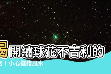 【繡球花不吉利】揭開繡球花不吉利的秘密！小心擺錯風水，黴運纏身