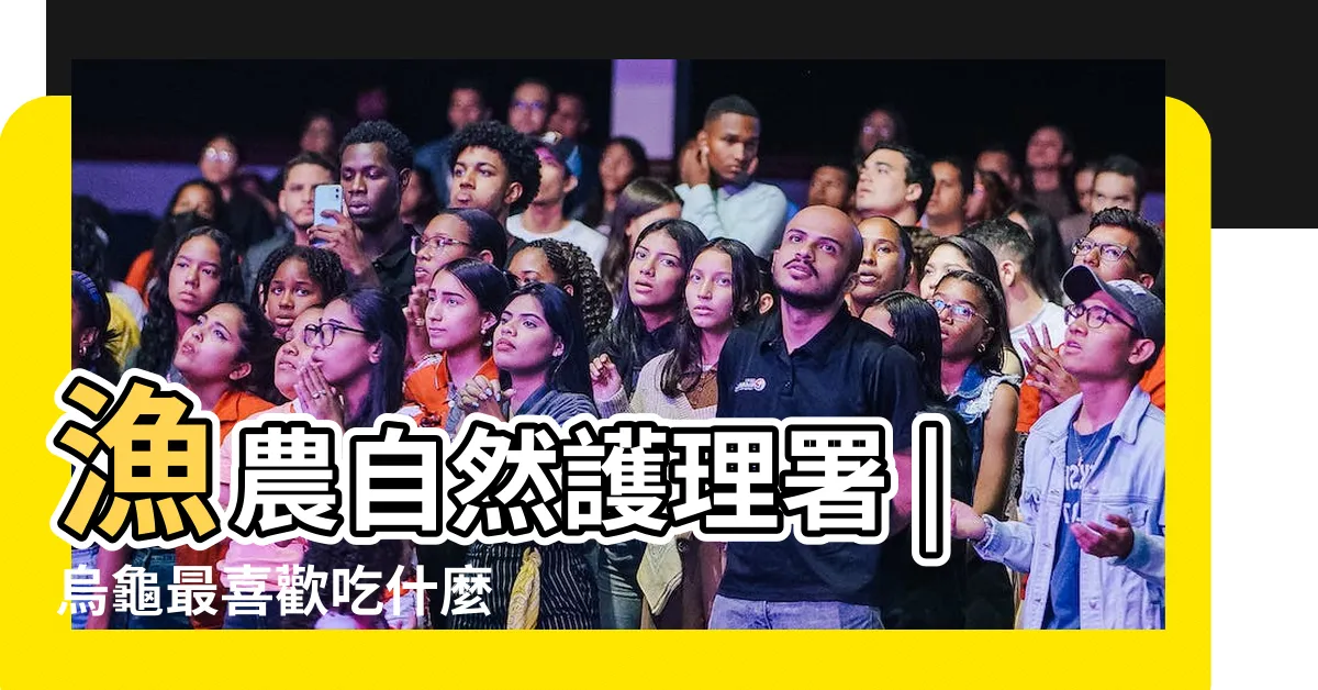 【烏龜喜歡吃什麼】漁農自然護理署 |烏龜最喜歡吃什麼 |烏龜吃什麼 |