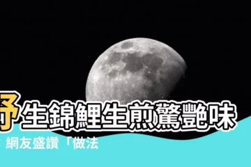 【錦鯉 吃】野生錦鯉生煎驚艷味蕾：網友盛讚「做法太神」