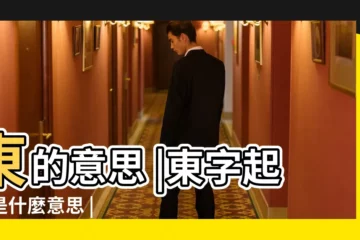 【東字在人名的意思是什麼意思是什麼意思】東的意思 |東字起名是什麼意思 |