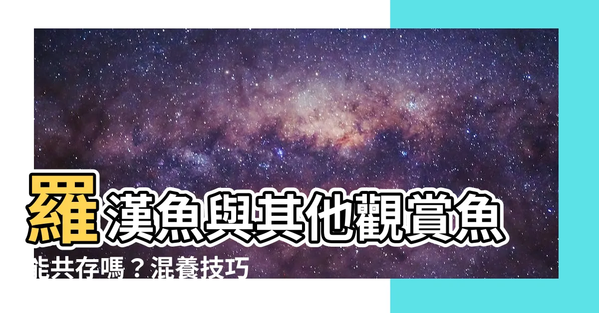 【羅漢魚可以混養嗎】羅漢魚與其他觀賞魚能共存嗎？混養技巧解析