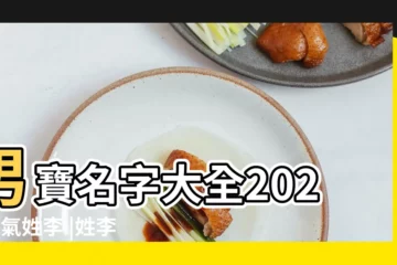 【李什麼洋氣名字男孩】男寶名字大全2022洋氣姓李 |姓李四個字的洋氣的名字男孩大全 |姓李洋氣點的男孩名字怎麼起 |