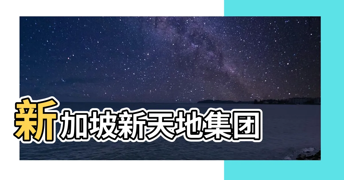 【新加坡新天地集團】新加坡新天地集團
