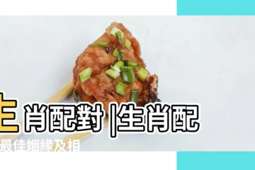 【豬的配對屬相】生肖配對 |生肖配對 |最佳姻緣及相沖排名 |
