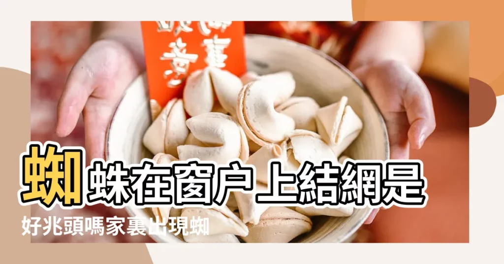 蜘蛛在窗户上結網是好兆頭嗎家裏出現蜘蛛是什麼意思 |今天發現在我家客廳的窗外有一隻蜘蛛在結網 |蜘蛛在家窗外結網居住的徵兆家中出現蜘蛛什麼意思 |【窗户 蜘蛛網 風水】