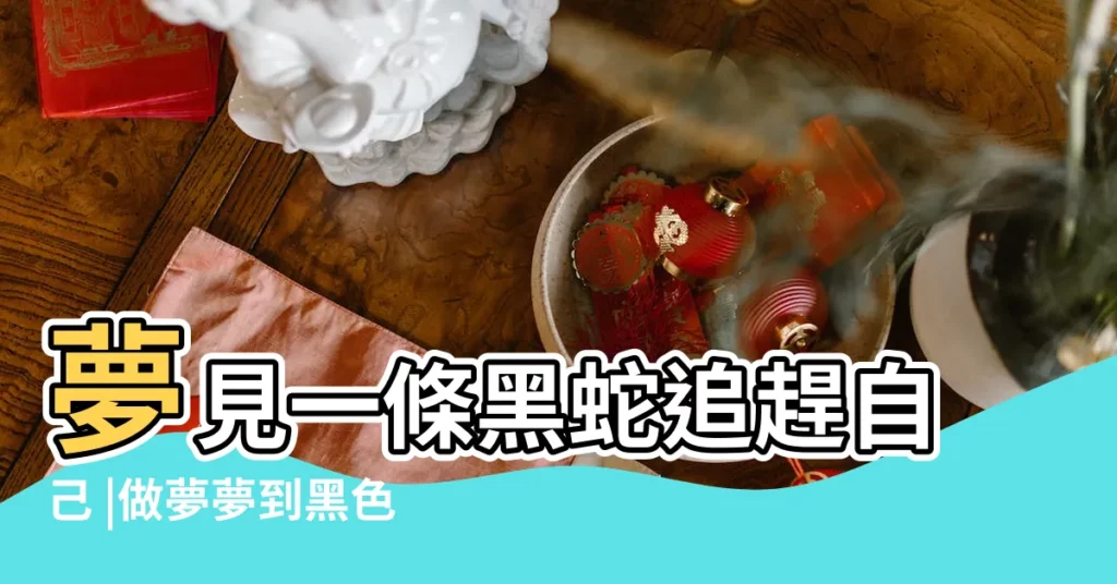 夢見一條黑蛇追趕自己 |做夢夢到黑色的蛇追我 |夢見一條大黑蛇在追我們 |【夢見被一條黑色的大蛇追】