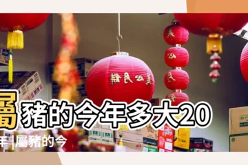 【2017年屬豬幾歲】屬豬的今年多大2017年 |屬豬的今年多大2017年 |2017年屬豬的人今年幾歲 |