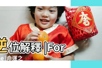 【未來關係 命運正位】逆位解釋 |Fortune |命運之輪 |