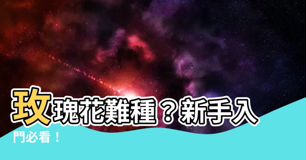 【玫瑰花好種嗎】玫瑰花難種？新手入門必看！