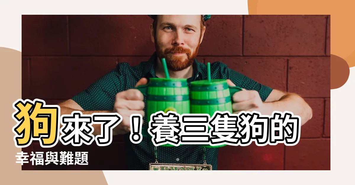【養三隻狗】狗來了！養三隻狗的幸福與難題