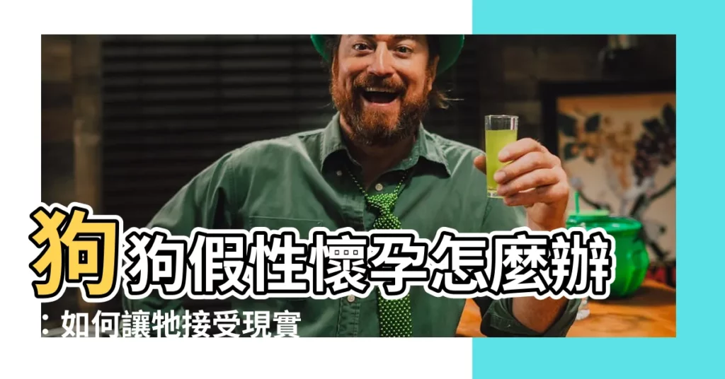 【狗狗假性懷孕怎麼辦】狗狗假性懷孕怎麼辦：如何讓牠接受現實？