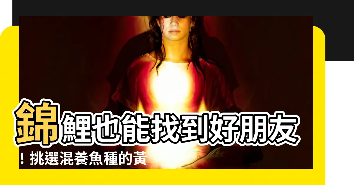 【錦鯉可以跟什麼魚一起養】錦鯉也能找到好朋友！挑選混養魚種的黃金守則一次告訴你