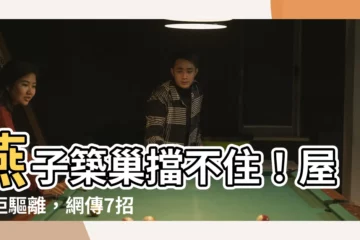 【怎麼防止燕子築巢】燕子築巢擋不住！屋主拒驅離，網傳7招防鳥屎秘技，愛心大爆發