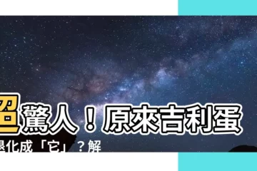【吉利蛋退化】超驚人！原來吉利蛋會退化成「它」？解密神奇寶貝鮮為人知的秘密