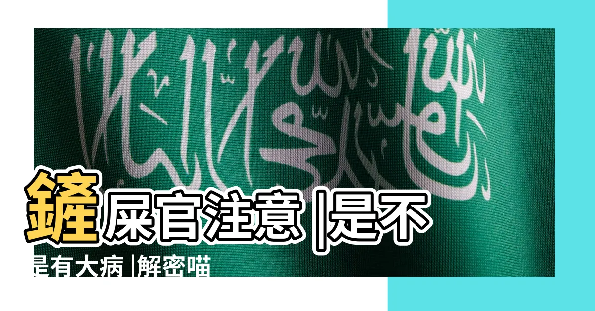 【貓跑來跑去】鏟屎官注意 |是不是有大病 |解密喵星人突然 |