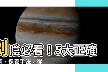 【剃陰】剃陰必看！5大正確修剪、保養手法，從入門到精通一次掌握
