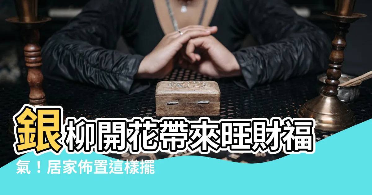 【銀柳開花風水】銀柳開花帶來旺財福氣！居家佈置這樣擺，財神爺自動送上門