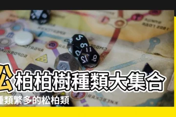 【松柏柏樹種類】松柏柏樹種類大集合：種類繁多的松柏類，一網打盡！
