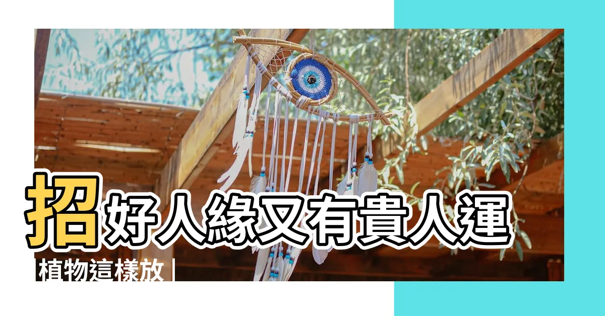 【辦公室 龍邊 虎邊】招好人緣又有貴人運 |植物這樣放 |辦公室風水轉起來 |