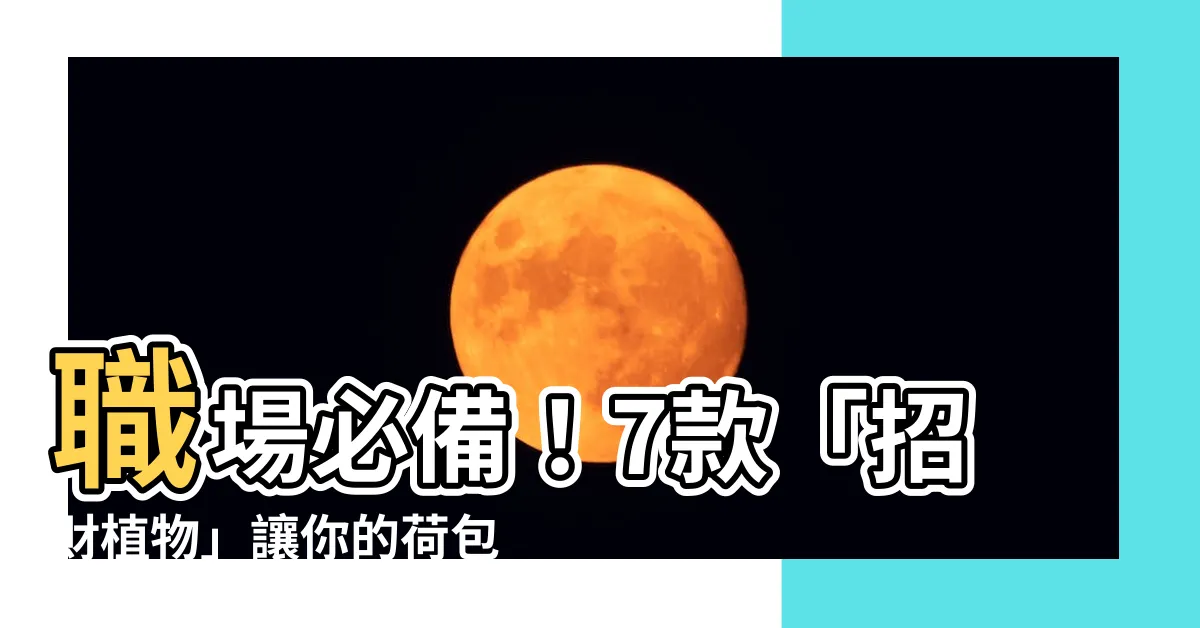 【招財植物】職場必備！7款「招財植物」讓你的荷包滿滿