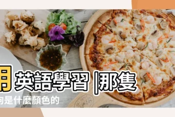 【小狗的英語是什麼顏色的】用英語學習 |那隻小狗是什麼顏色的 |你有一隻什麼顏色的小狗 |