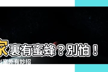 【家裏有蜜蜂】家裏有蜜蜂？別怕！引出室外有妙招