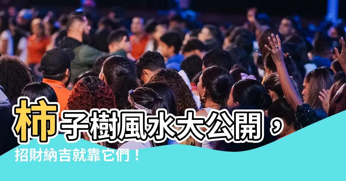 【柿子樹風水】柿子樹風水大公開，招財納吉就靠它們！