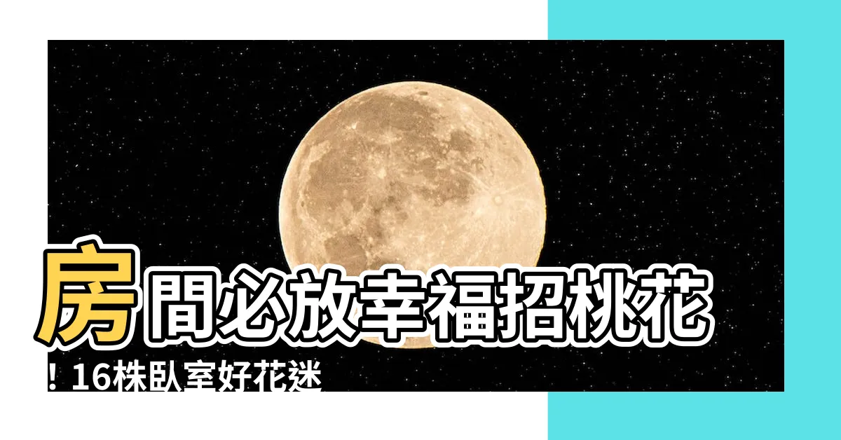 【房間可以放什麼花】房間必放幸福招桃花！16株卧室好花迷倒另一半