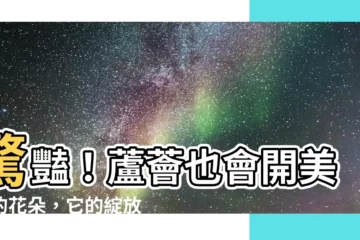 【蘆薈開花蘆薈花】驚豔！蘆薈也會開美麗的花朵，它的綻放背後藴藏美好寓意