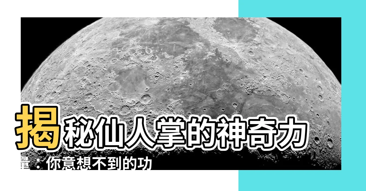 【仙人掌功能】揭秘仙人掌的神奇力量：你意想不到的功能等你探索