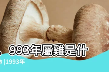 【1993年是什麼命五行屬什麼生肖】1993年屬雞是什麼命 |1993年生肖屬雞人是什麼命五行屬什麼 |93年出生五行屬什麼 |