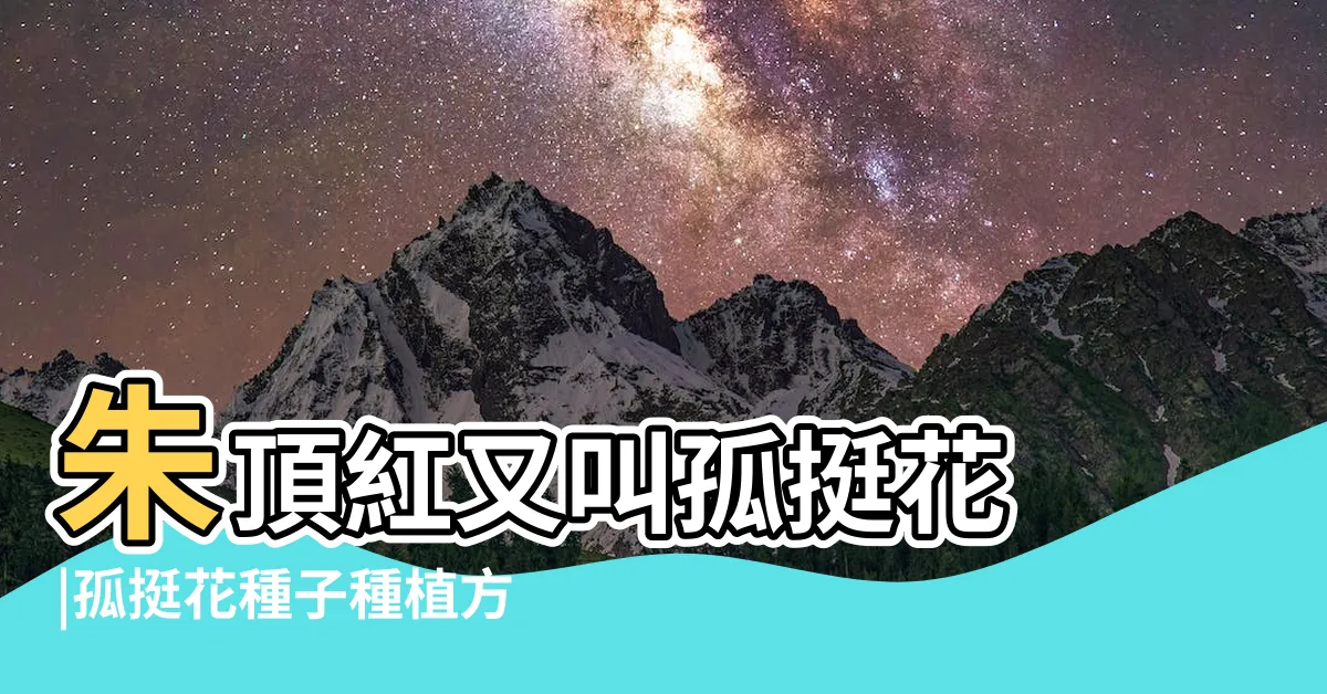 【孤挺花繁殖方法】朱頂紅又叫孤挺花 |孤挺花種子種植方法 |孤挺花扦插繁殖方法 |