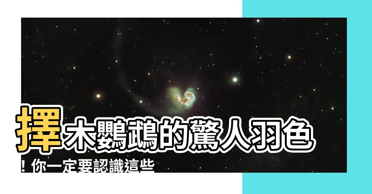 【擇木鸚鵡】擇木鸚鵡的驚人羽色！你一定要認識這些美麗鸚鵡