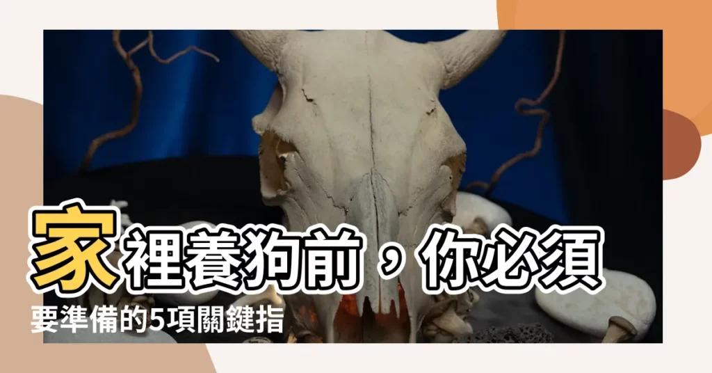 【家裡養狗】家裡養狗前，你必須要準備的5項關鍵指南