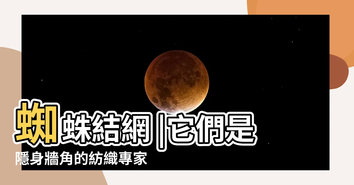 【蜘蛛如何結網】蜘蛛結網 |它們是隱身牆角的紡織專家 |五大SOP |