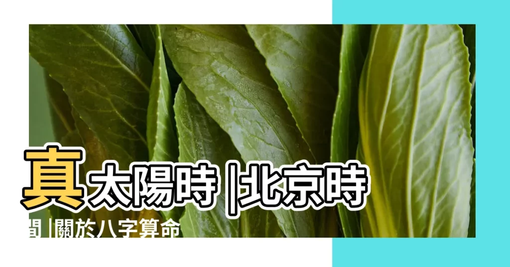 真太陽時 |北京時間 |關於八字算命中的真太陽時和'北京時間' |【八字北京時間】