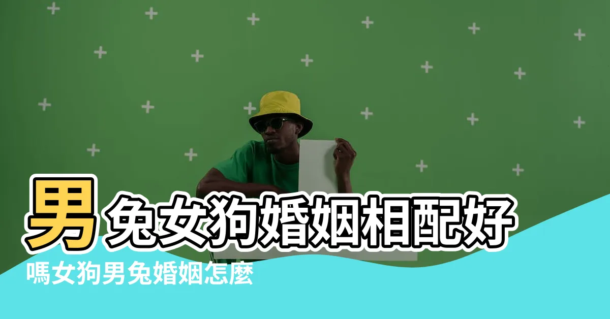 【男兔女狗】男兔女狗婚姻相配好嗎女狗男兔婚姻怎麼樣 |男狗女兔婚姻相配好嗎屬狗男和屬兔女的婚姻怎麼樣 |屬兔男人和屬狗女人相配嗎 |