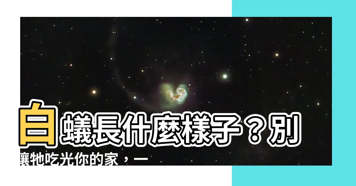 【白蟻長什麼樣子】白蟻長什麼樣子？別讓牠吃光你的家，一看就懂的防治方法