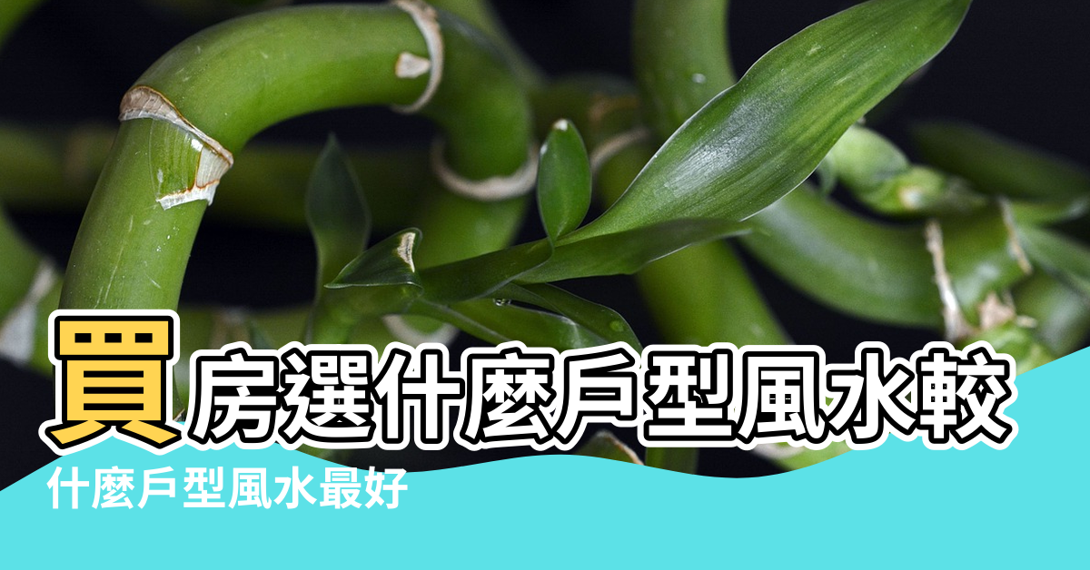 【怎麼從風水選擇戶型】買房選什麼戶型風水較好 |什麼戶型風水最好 |看這7點就夠了 |