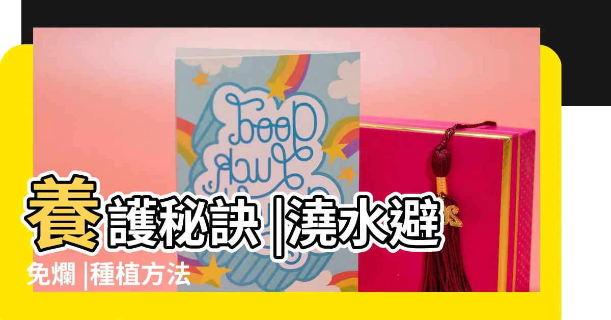 【龜背】養護秘訣 |澆水避免爛 |種植方法 |