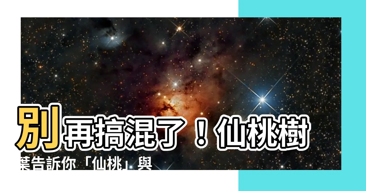 【仙桃樹葉】別再搞混了！仙桃樹葉告訴你「仙桃」與「芒果」的神秘關係