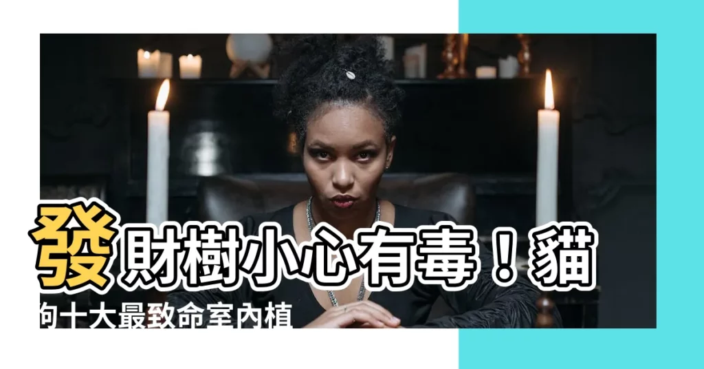 【發財樹 貓】發財樹小心有毒！貓狗十大最致命室內植物，小心別養錯！