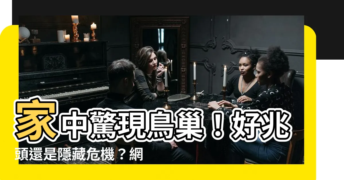 【家裡鳥巢】家中驚現鳥巢！好兆頭還是隱藏危機？網友熱議背後玄機